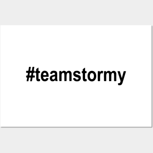 #teamstormy Hashtag Team Stormy Stormy Daniels Trump Posters and Art